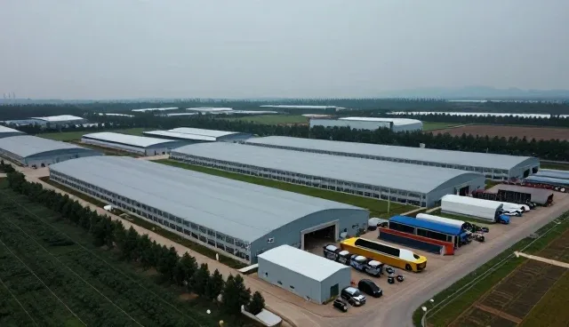 卫生间防水堵漏服务的市场趋势与技术革新